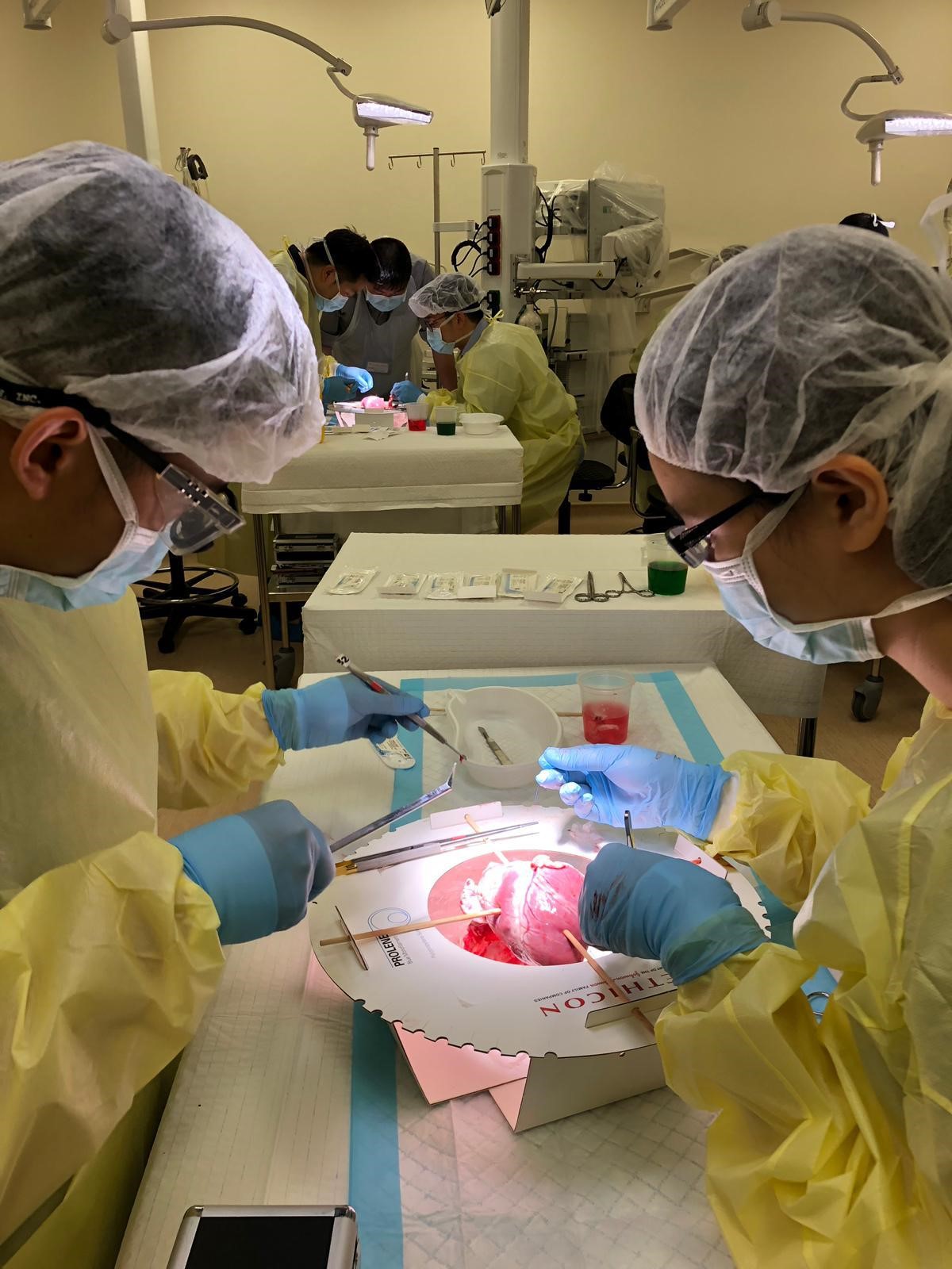 Nurturing Future Generation Of Doctors Cardiology And Cardiothoracic Surgery Residency